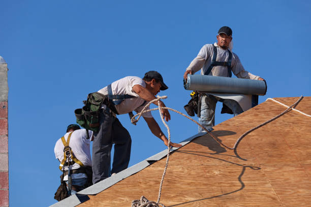 Best Metal Roofing Contractor  in Warsaw, IL