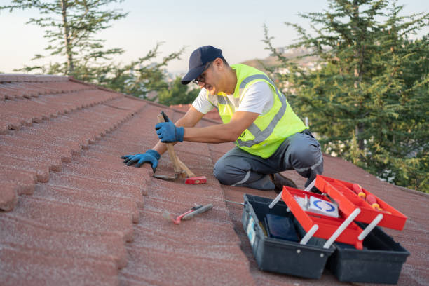 Best Flat Roof Repair Services  in Warsaw, IL